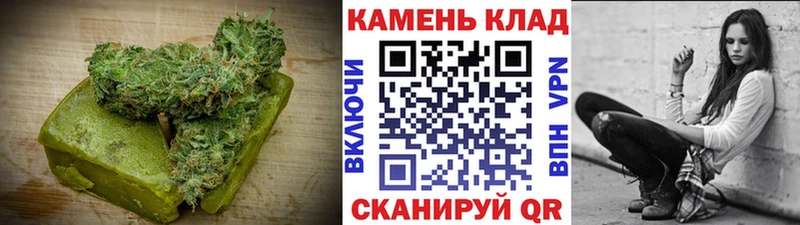 Canna-Cookies марихуана  Купить  Новый Уренгой 